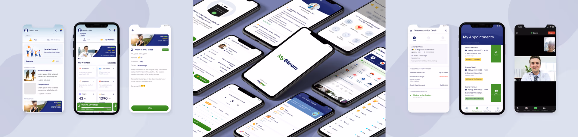 Siloam project interface